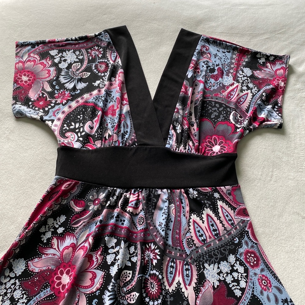 Velvet Torch Dress - Picture 2 of 5
